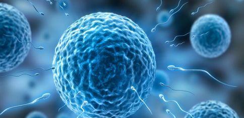 柬埔寨试管婴儿收费与服务项目汇总