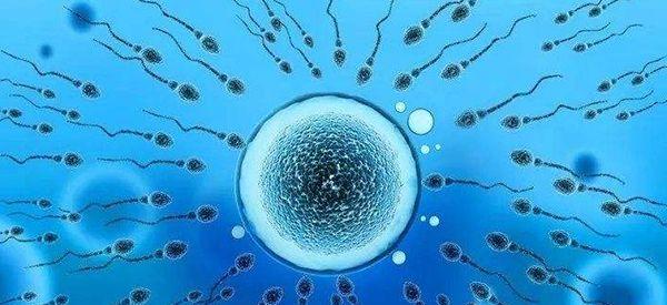 未婚女性在美国加州精子库的网上购买流程是什么？