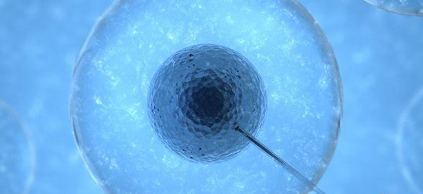 单身做人工授精从精子库买精子要多少钱？