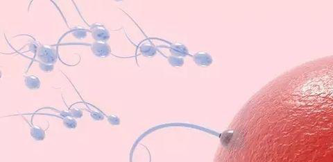 中国有精子库吗?国内各个省份精子库汇总