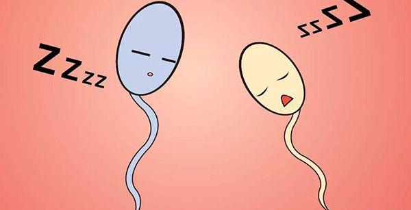 男性精子活力b级能生育吗？