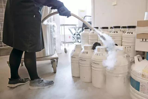 同性恋美国精子库购买精子流程是怎么样的？