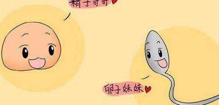 精子头部缺陷达到了百分之90，还能要孩子吗？