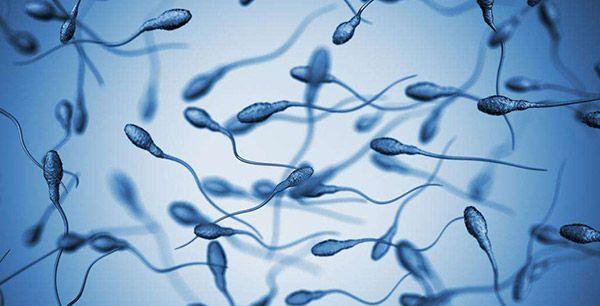 男性精子活力40%正常吗?一张标准精子评级图告诉你