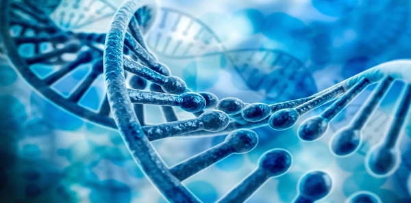 试管婴儿卵泡不好,前往泰国助孕可行吗?看这里帮到您