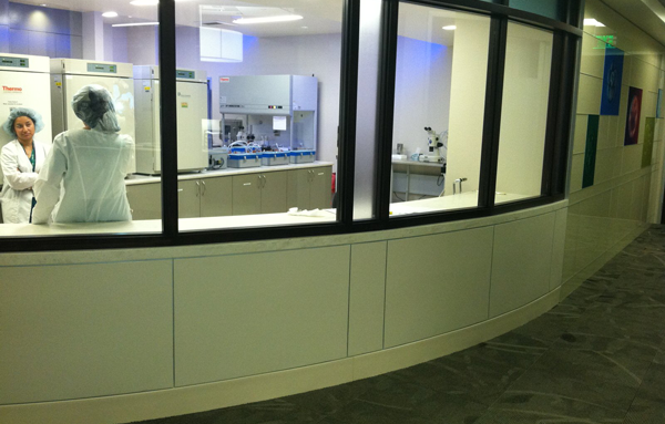 CT生殖医学中心:美国辅助试管婴儿领域的领导者