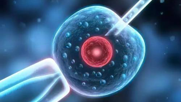 3cc囊胚是最差的吗?医生:真有成功案例要有信心