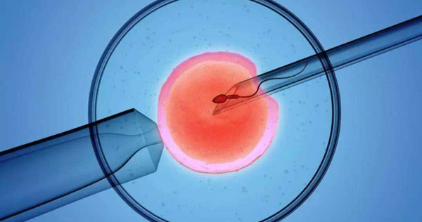 3cb囊胚质量差成功率低?医生:移植后