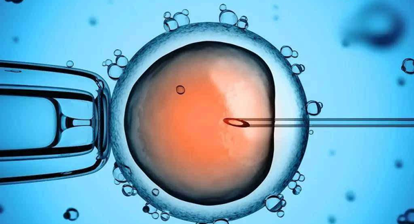 养囊结果出来了？3ab囊胚成功率、质量好不好看这里