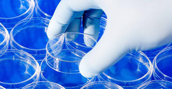 不懂的进来看看!囊胚3bb质量级别、成功率详解