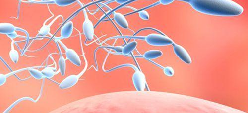 子宫内膜薄只有5.5mm做试管能成功吗？