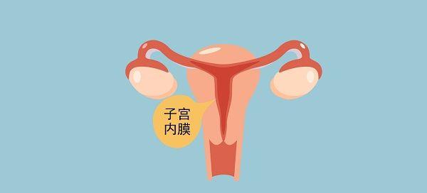 子宫内膜薄吃药难增厚，这4款饮食疗法更有效