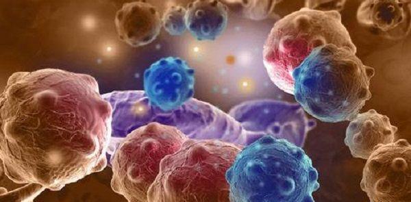 nk细胞偏高影响怀孕吗？需要治疗吗？