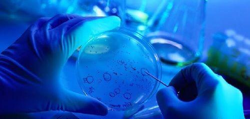 nk细胞免疫治疗法真假：打一针的价格轻松识别骗局