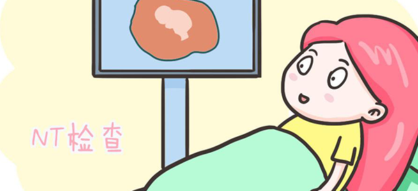 怀孕中期做nt检查一次过的都是男孩这种说法科学吗？