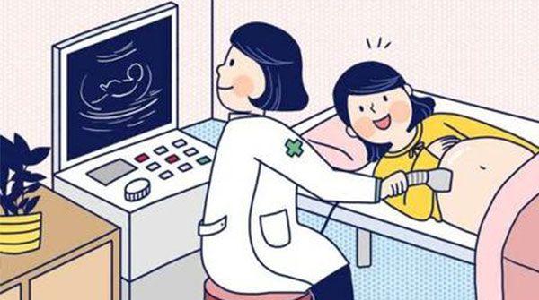 nt检查前的注意事项解惑，空腹憋尿通通不需要