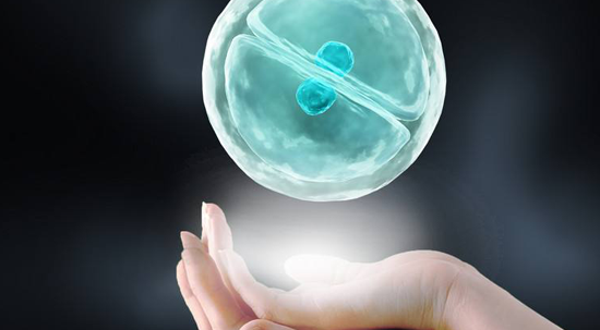 子宫内膜异位症降调后，人工周期移植流程是怎么样的？