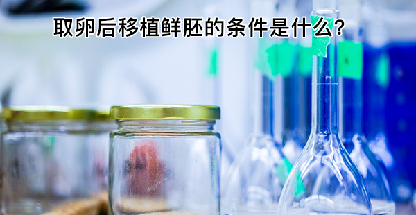 取卵后移植鲜胚不是随时进行！4大先决条件缺一不可