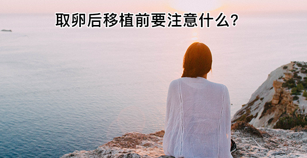 取卵后移植前4大注意事项要谨记！提升试管成功率就学习