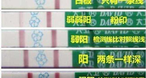 排卵试纸强阳