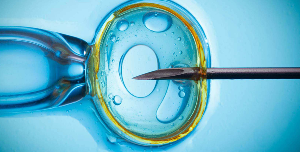 腹部取卵后是走还是卧床？适当走路喝点红豆水是正确做法