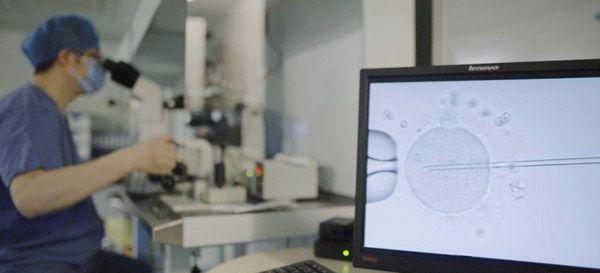 试管微刺激方案取卵时间并不确定！看看“过来人”的经验