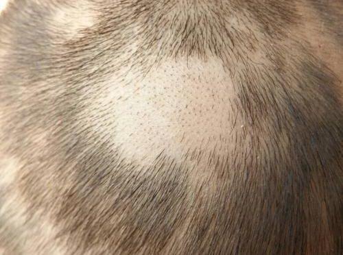 撞到1岁宝宝的头了，请问婴儿囟门受伤的表现是怎样的？