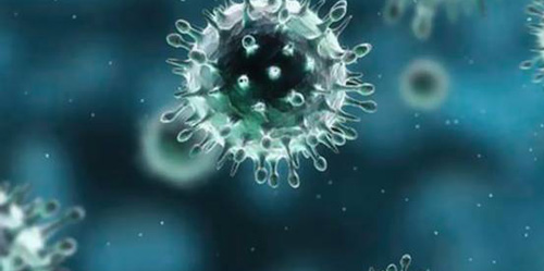 风疹病毒igg抗体是什么,其实这就是基本怀孕条件