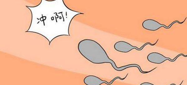 男性做试管取精子的最佳时间是什么时候？