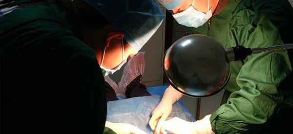 老公患无精症采取睾丸取精做试管能成功吗？