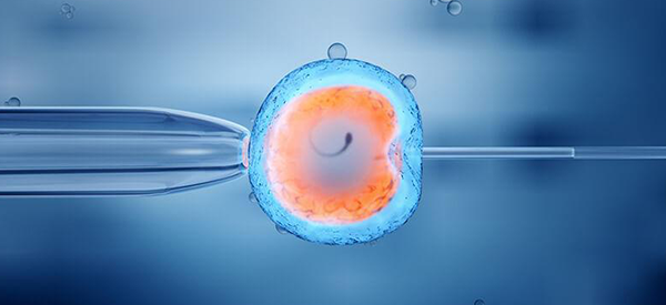 做试管男性取精间隔几天精子质量最好？