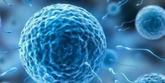 男性孕前检查如何取精?临床上多用这2种方法