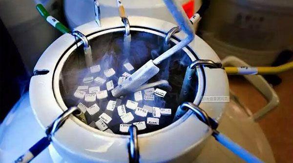 新生儿脐带血保存流程大公开，低温坏境下时间长达20年