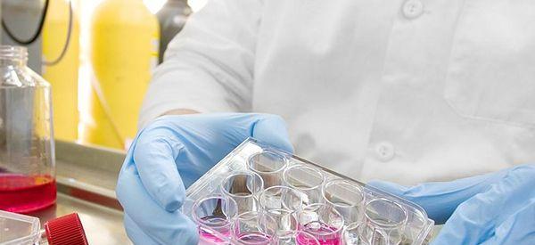 郑大干细胞库是一家正规机构吗？