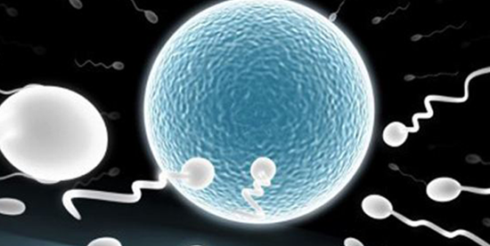 人授和试管不知如何选?少精弱精患者可根据这2点判断