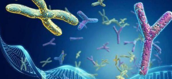 染色体azfc和蛋白质都显示缺失是由什么引起的？