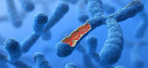 男性y染色体微缺失能做试管吗？