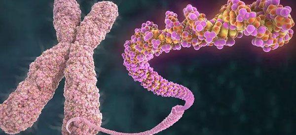 做羊水穿刺发现4号染色体微缺失，对胎儿影响严重吗？