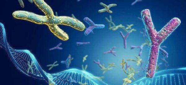 AZFc缺失做试管有多少成功率？