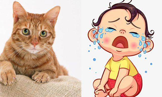 猫叫综合征（5号染色体短臂缺失）的原因，一定会不正常吗