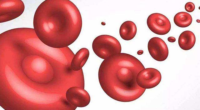 血小板减少伴桡骨缺失综合症是什么意思？会遗传吗