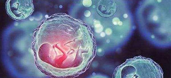 有郑大三附院做三代试管费用支出明细吗？