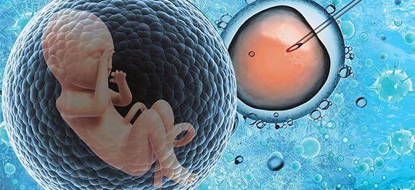 2022年国内哪里有做试管包生男孩的医院？