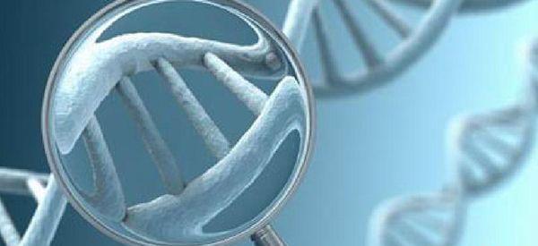 郑州花10万做三代试管能包生男孩可信吗？