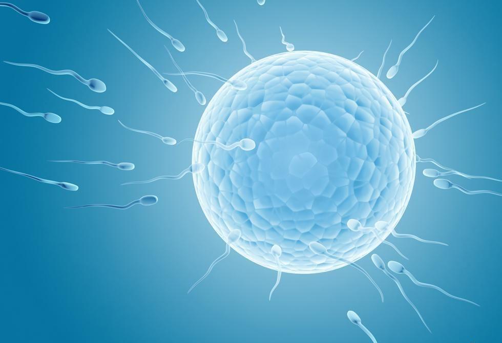 少精弱精症严重到做5次试管都失败该怎么办？