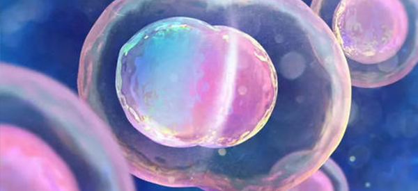 在成都做试管婴儿,从最开始到怀上要多久？