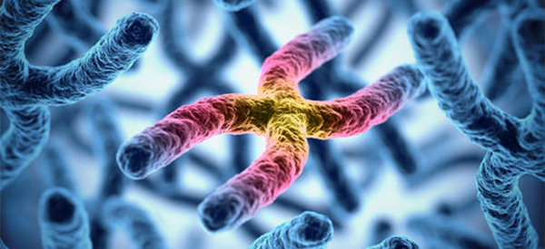 泰国的试管婴儿技术真的比中国试管技术好吗？