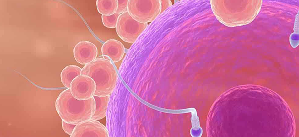 我老公去检查a精子为零，这种情况可以调理好吗？