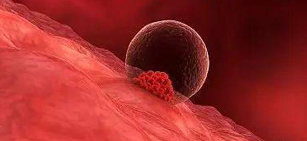 试管最难成功的是哪一关？