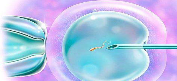 试管婴儿成功怀孕后做无创还是羊穿？